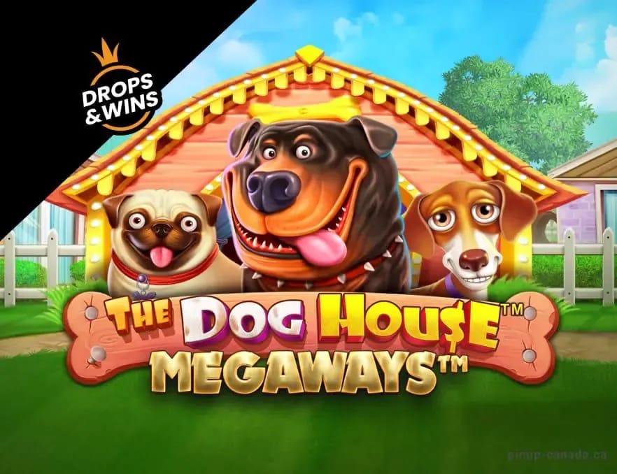 BetPlays Casino Galerie 1-32